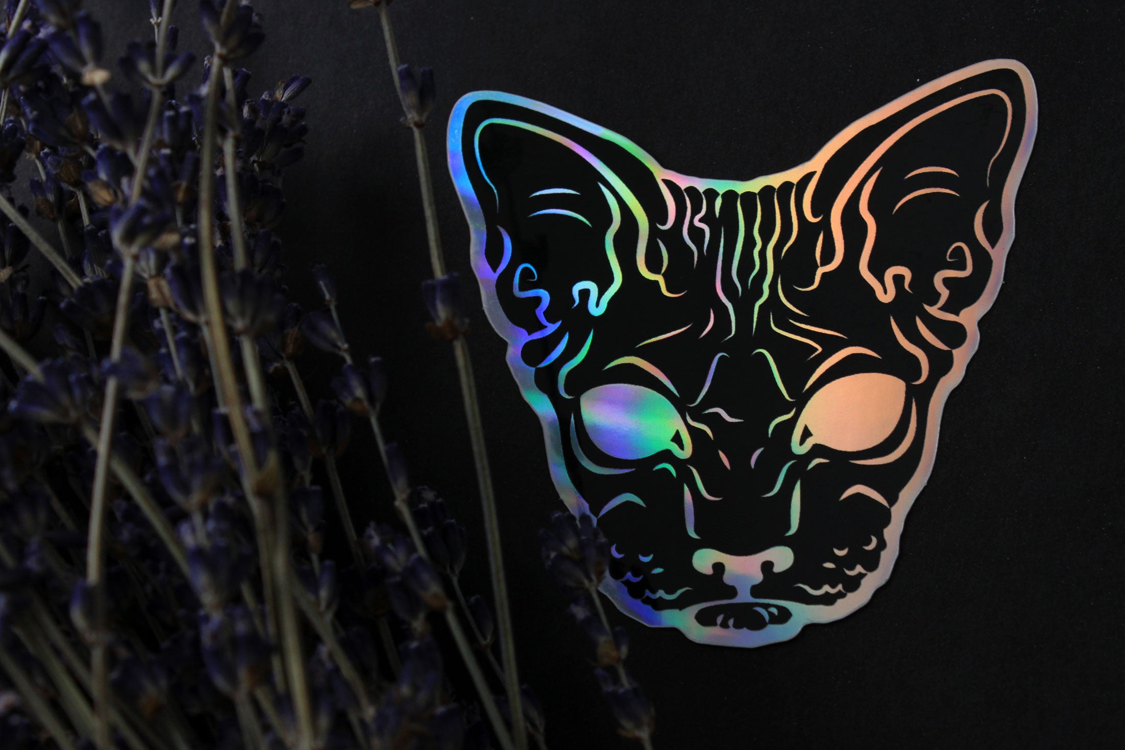 black goth hairless sphynx cat sticker